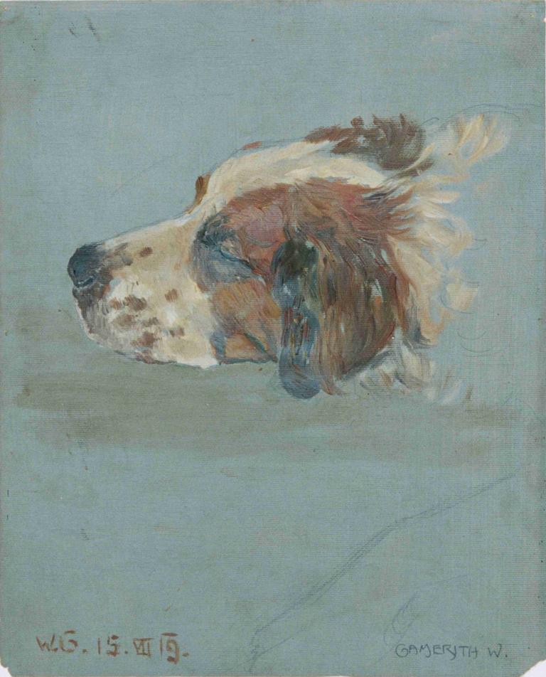 Hundekopf,Cabeza de perro,Walther Gamerith,Pintura al óleo,Pintura al óleo, no humanos