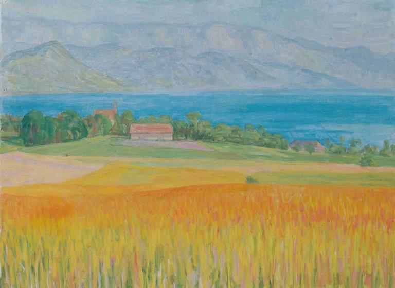 Kornfeld am Attersee,Campo di grano sul lago Attersee,Walther Gamerith,Pittura ad olio,Pittura ad olio