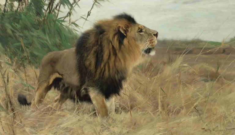 Beberlöwe [Berber Lion],Wilhelm Kuhnert,Oil Painting,Oil Painting, no humans, grass, outdoors, realistic