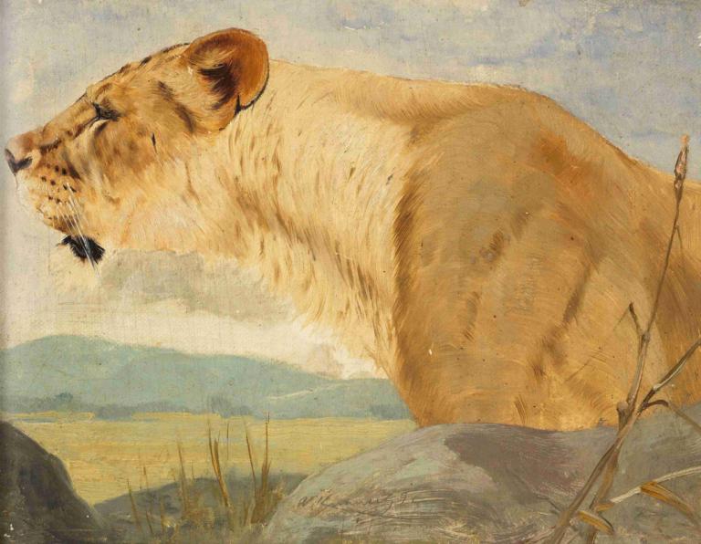 Head of a Lioness,Wilhelm Kuhnert,Oil Painting,Oil Painting, no humans, outdoors, tiger, realistic, animal