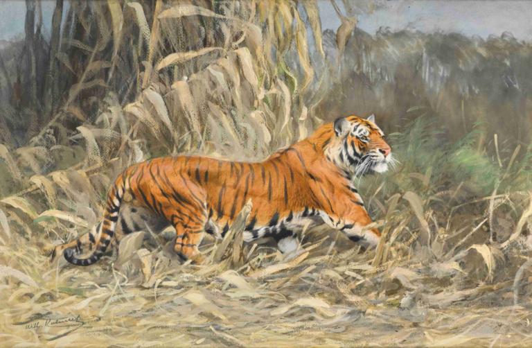 Im Dschungel [Tiger],ジャングルで【虎,Wilhelm Kuhnert,ヴィルヘルム・クナート,油絵,油絵, 人間がいない, 虎, 屋外, 従来のメディア, 動物の焦点, 草, 現実的な, 自然