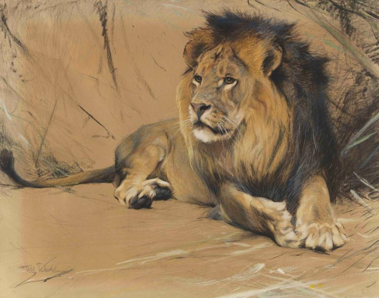 Liegender Löwe,Wilhelm Kuhnert,Oil Painting,Oil Painting, no humans, traditional media, lion, signature, solo