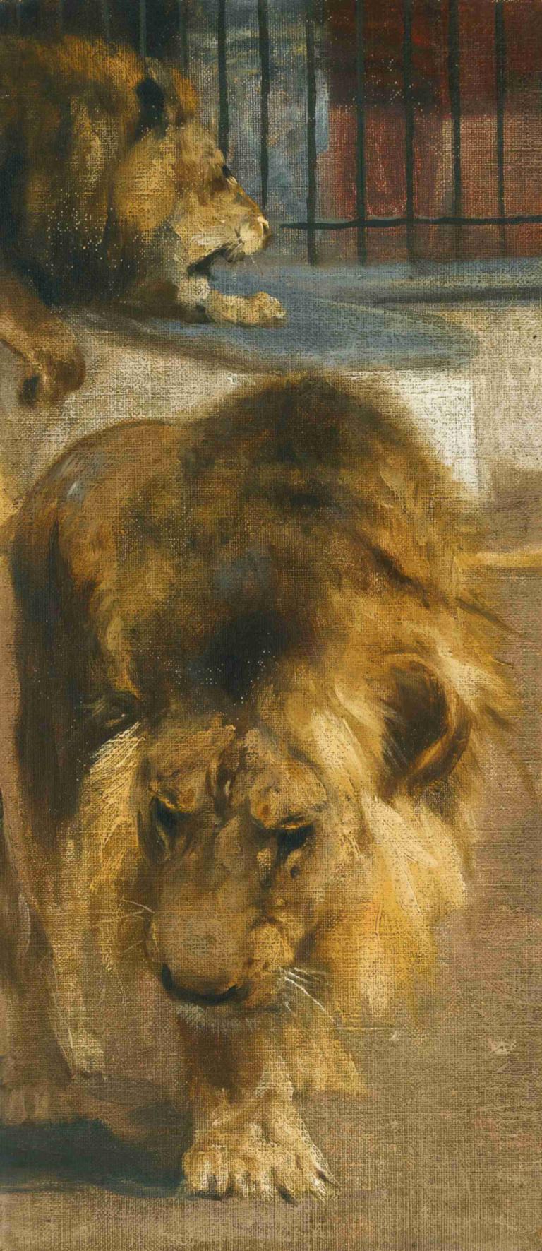 Lions,Wilhelm Kuhnert,Peinture à l'huile,Peinture à l'huile, pas d'humains, fenêtre, animal, à l'intérieur