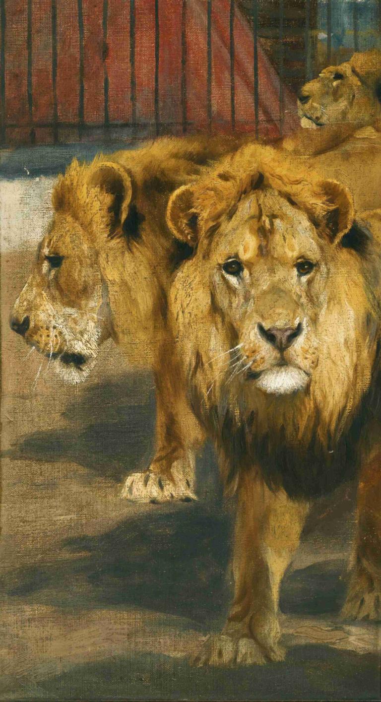 Lions,Wilhelm Kuhnert,Oil Painting,Oil Painting, no humans, animal, realistic, traditional media