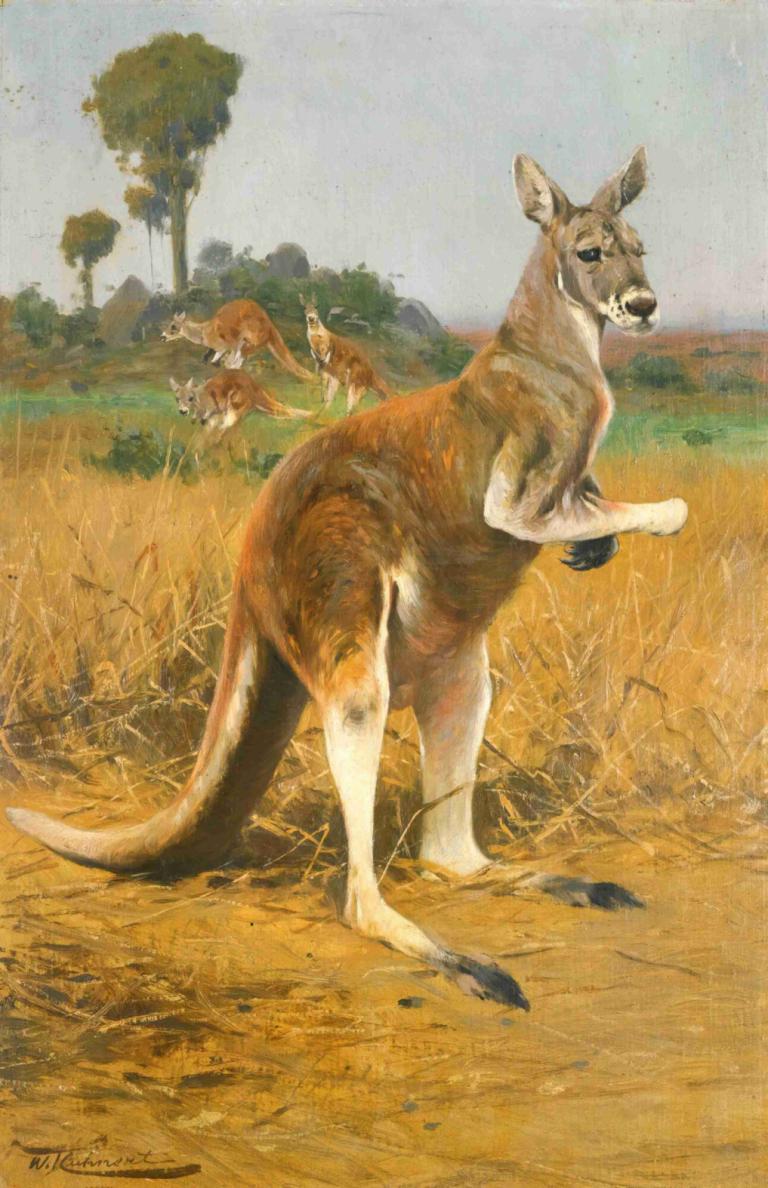 Red Kangaroos In The Outback,Kanguru Merah di Pedalaman,Wilhelm Kuhnert,Lukisan cat minyak,Lukisan cat minyak