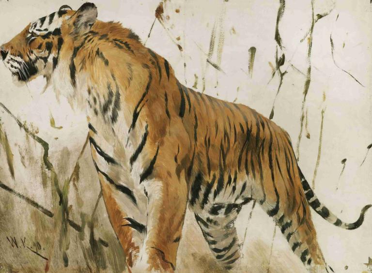 Study Of A Tiger,Studie eines Tigers,Wilhelm Kuhnert,Ölgemälde,Ölgemälde, keine Menschen, Tiger