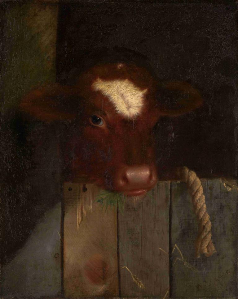 The Family Cow (Calf's Head),Familjen ko (kalvens huvud),William Merritt Chase,Oljemålning,Oljemålning