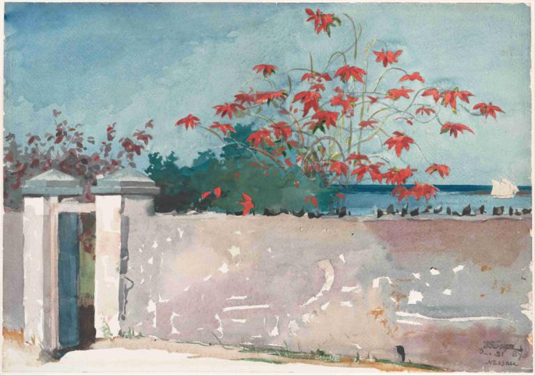 A Wall, Nassau,Winslow Homer,Oil Painting,Oil Painting, outdoors, no humans, traditional media, scenery, leaf