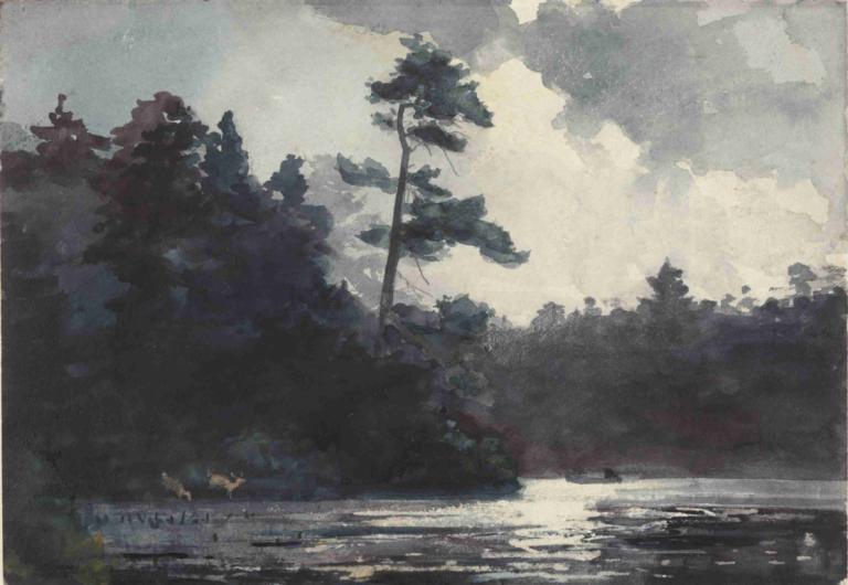 Adirondack Lake,Winslow Homer,Oil Painting,Oil Painting, outdoors, tree, scenery, no humans, cloud, sky