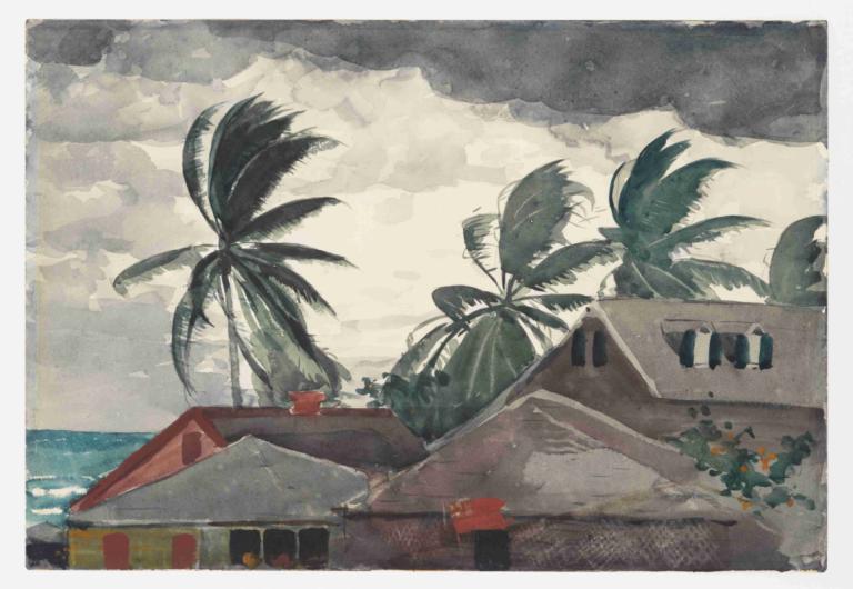 Hurricane, Bahamas,허리케인, 바하마,Winslow Homer,윈슬로우 호머,오일 페인팅,오일 페인팅, 옥외, 인간은 없어, 나무, 국경, 구름, 하늘, 흰색 테두리, 야자수