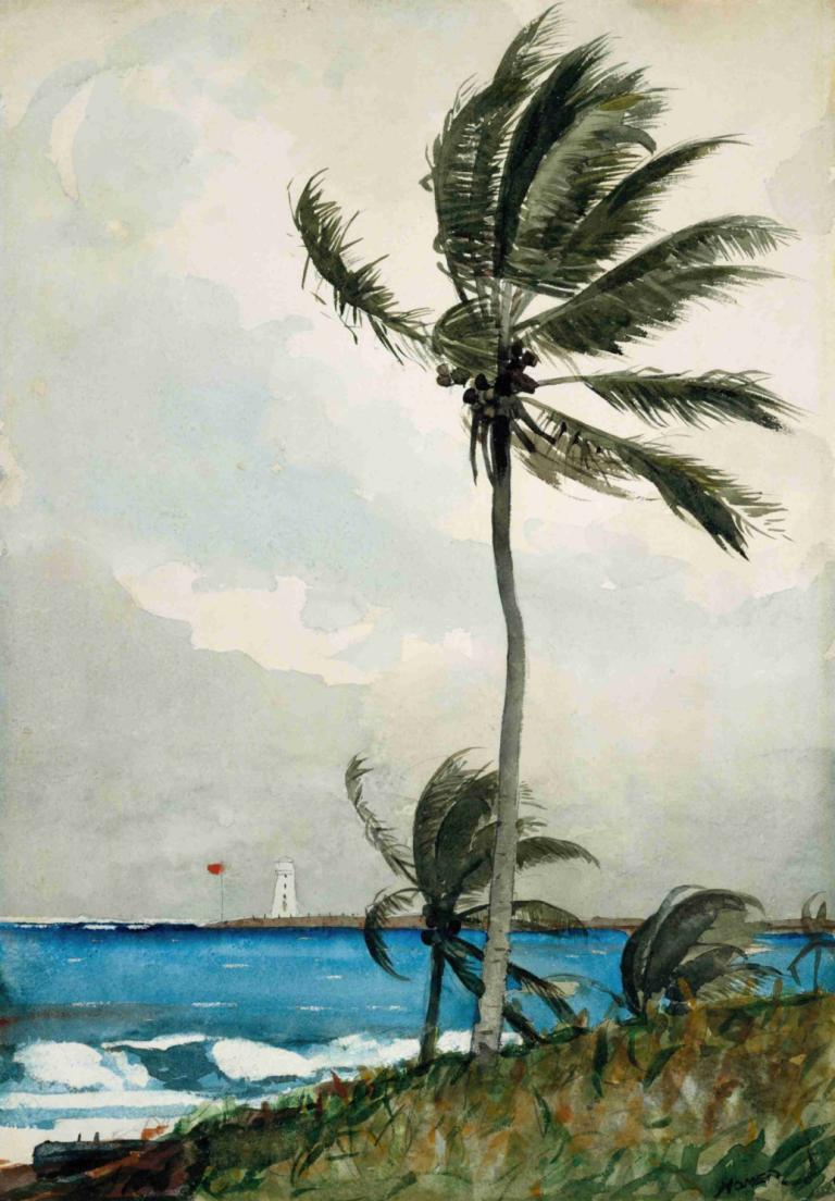 Palm Tree, Nassau,เอาต้นอินทผลัมมา,Winslow Homer,วินส์โลว์ โฮเมอร์,จิตรกรรมสีน้ำมัน,จิตรกรรมสีน้ำมัน