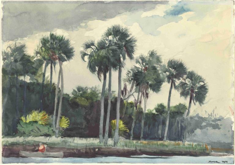 Red Shirt,Homosassa, Florida,Camicia rossa,Homosassa, Florida,Winslow Homer,Pittura ad olio,Pittura ad olio