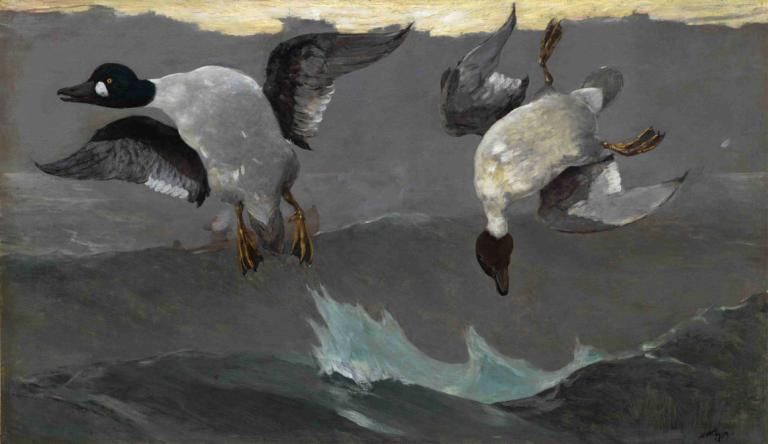 Right and Left,Winslow Homer,Oil Painting,Oil Painting, no humans, bird, animal focus, pokemon (creature)