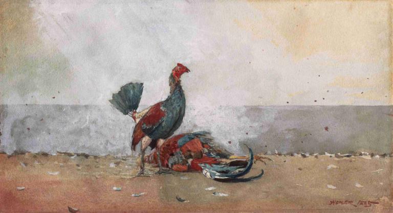 The Cock Fight,Kohoutí souboj,Winslow Homer,Olejomalba,Olejomalba, pták, tradiční média, ruční ventilátor